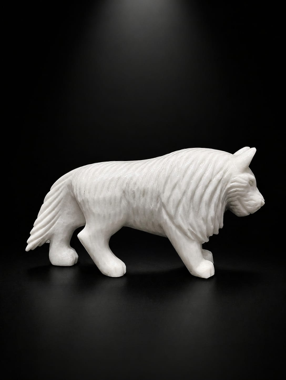 Arctic Onyx Wolf - Image 2